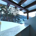 Almir 招待所 布拉索夫