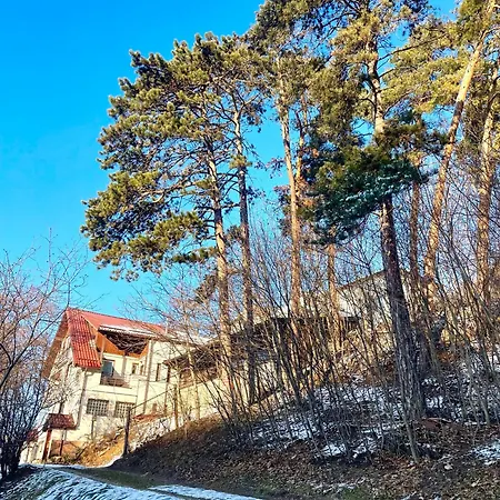 Guest house Almir *