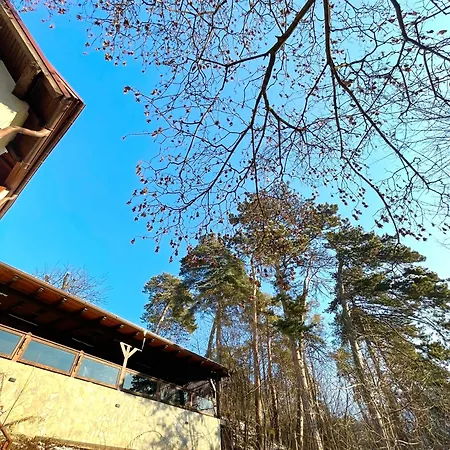 Almir * Brasov