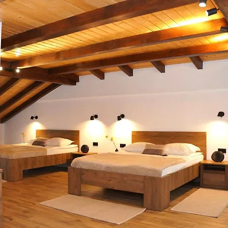 Almir Guest house Brasov