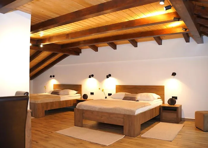 Almir Guest house Brasov