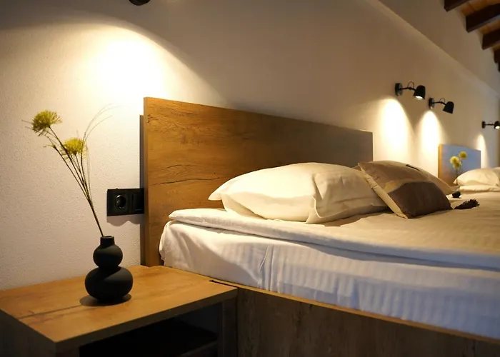 Guest house Almir Brasov